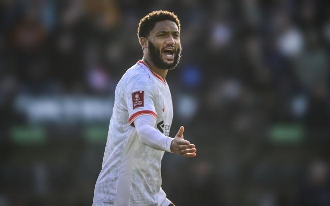 阵容在协同 阵容在协同