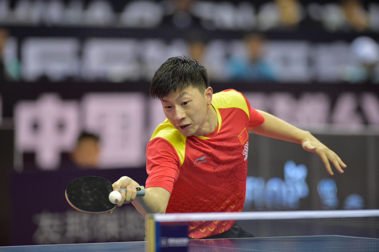 随队记者报 随队记者报